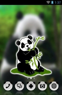 android theme 'Panda Bear'