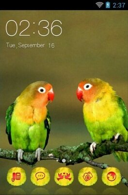 android theme 'Love Birds'