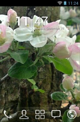 android theme 'Spring'